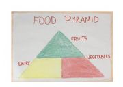 English Worksheet: Food Pyramid