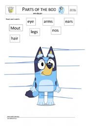 Parts of the Body with Bluey