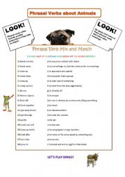 Phrasal Verbs About Animals