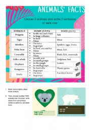 English Worksheet: Animals Facts