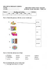 English Worksheet: test
