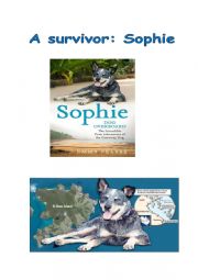 English Worksheet: A survivor: Sophie