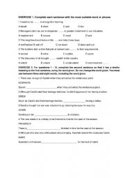 English worksheet: EXERCISES