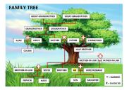 English Worksheet: Family Tree