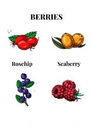 English Worksheet: Berries Printable