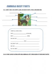 English Worksheet: ANIMALS BODY PARTS