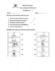 grade 1 worksheet