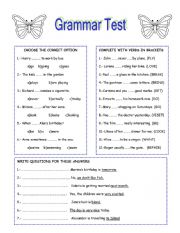 GRAMMAR TEST