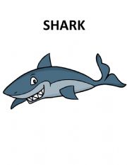 English Worksheet: Sea Animals Flashcards