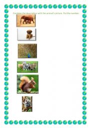 English Worksheet: Animals description