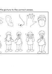 English Worksheet: 5 senses