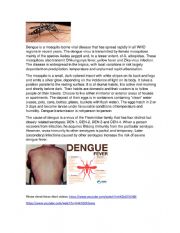 English worksheet: DENGUE A SILENT KILLER