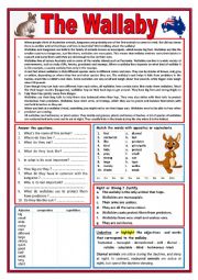 The Wallaby - Reading + varied exercises + KEY and teacher�s notes