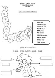 COLOURS NUMBERS AND PARTS OF THE FACE