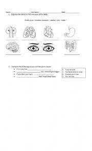 English Worksheet: Zero conditional 