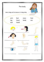 English Worksheet: The body