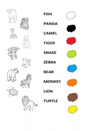English Worksheet: ZOO animals