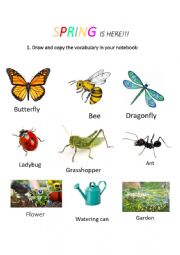 English Worksheet: Spring is here!!!