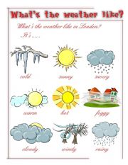 What is the weather like?