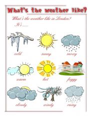English Worksheet: What is the weather like?