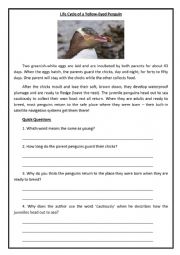 English Worksheet: Some Gerenal Facts About Yellow-Eyed Penguin