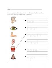 English Worksheet: 5 senses