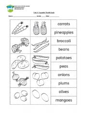food vocabulary