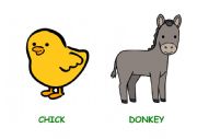 English Worksheet: Farm animals flashcards