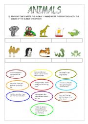 English Worksheet: Animals: read the riddle and put the correct name under each picutre