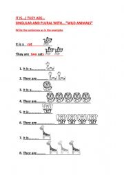 English Worksheet: It is and they are, singular an plural with animals