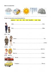 English Worksheet: Project 2 Unit 5b