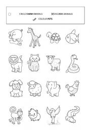 English Worksheet: animals