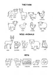 animals