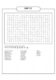 English Worksheet: vocabulary