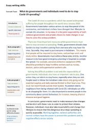 Academic essay example: What do governments and individuals need to do to stop Covid-19?