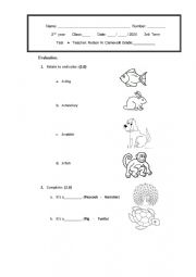 English Worksheet: Test elementary school 2nd grade