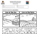 English Worksheet: Animals