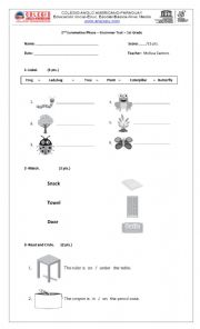 English Worksheet: Grammar Examn for 1st Grade