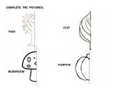 English Worksheet: Autumn