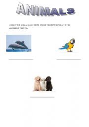 English Worksheet: ANIMAL�S MOVEMENT