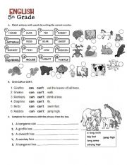 English Worksheet: CAN - ANIMALS VOCABULARY