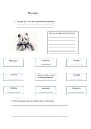 English Worksheet: Mammals