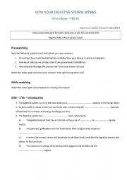 English Worksheet: How the digestive system works