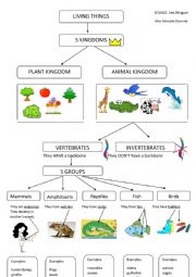 English Worksheet: Science- Living things- Vertebrates