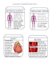 English Worksheet: Flash cards 