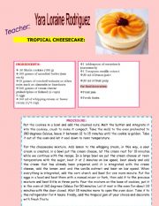 TROPICAL CHEESECAKE 