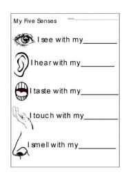 Sensory Worksheet