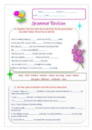 English Worksheet: Grammar Revision
