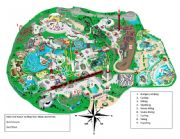 English Worksheet: Find the place in a map