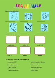 English Worksheet: Sea animals for beginners